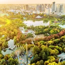 西安旅游 缩略图 8