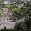 苏州旅游 缩略图 7
