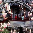 苏州旅游 缩略图 5