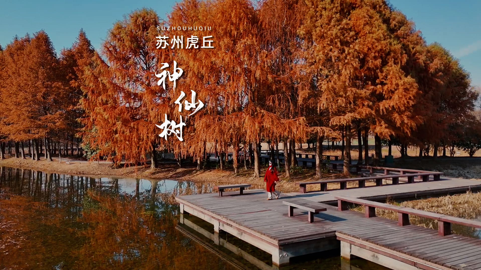 苏州虎丘湿地公园 - 苏州市旅游