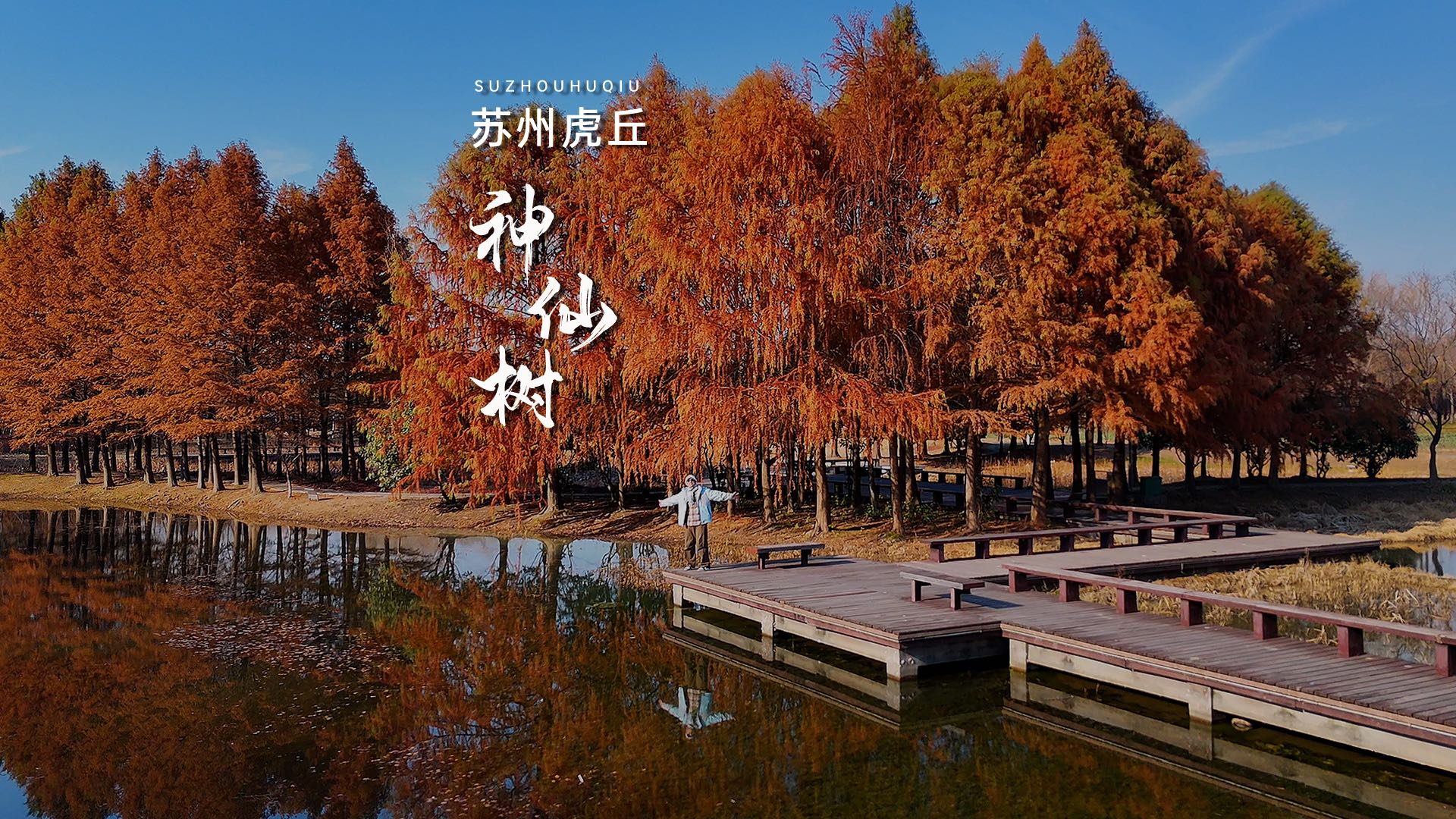 苏州虎丘湿地公园 - 苏州市旅游