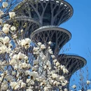 北京旅游 缩略图 7