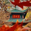 长沙旅游 缩略图 8