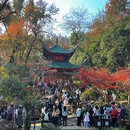 长沙旅游 缩略图 9