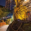 重庆旅游 缩略图 5