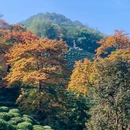杭州旅游 缩略图 7