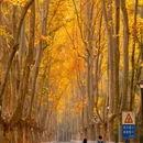 南京旅游 缩略图 5
