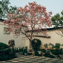 苏州旅游 缩略图 5