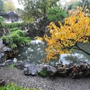 苏州旅游 缩略图 7