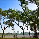 西安旅游 缩略图 4