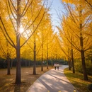 杭州旅游 缩略图 5