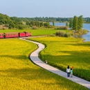 广州旅游 缩略图 6