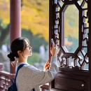 苏州旅游 缩略图 2