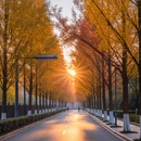 南京旅游 缩略图 4