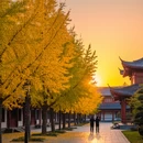 杭州旅游 缩略图 6