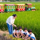 广州旅游 缩略图 5