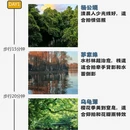 杭州旅游 缩略图 1