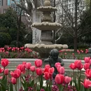 襄阳公园 - 上海市旅游 缩略图 1