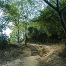 深圳睿亚酒店式公寓(华强北科学馆地铁站店) - 深圳市旅游 缩略图 1