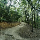 深圳睿亚酒店式公寓(华强北科学馆地铁站店) - 深圳市旅游 缩略图 5