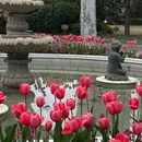 襄阳公园 - 上海市旅游 缩略图 2