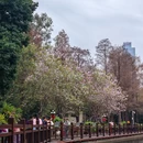 深圳橙果酒店 - 深圳市旅游 缩略图 8