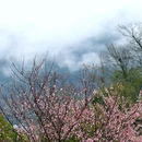 桃花潭风景区 - 宣城市旅游 缩略图 4