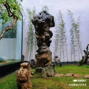 平江园石舍 - 苏州市旅游 缩略图 6