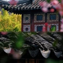 留园 - 苏州市旅游 缩略图 2