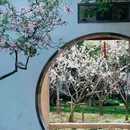 留园 - 苏州市旅游 缩略图 5