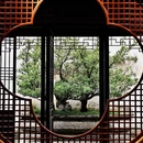 留园 - 苏州市旅游 缩略图 7