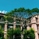 厦门大学(思明校区) - 厦门市旅游 缩略图 4