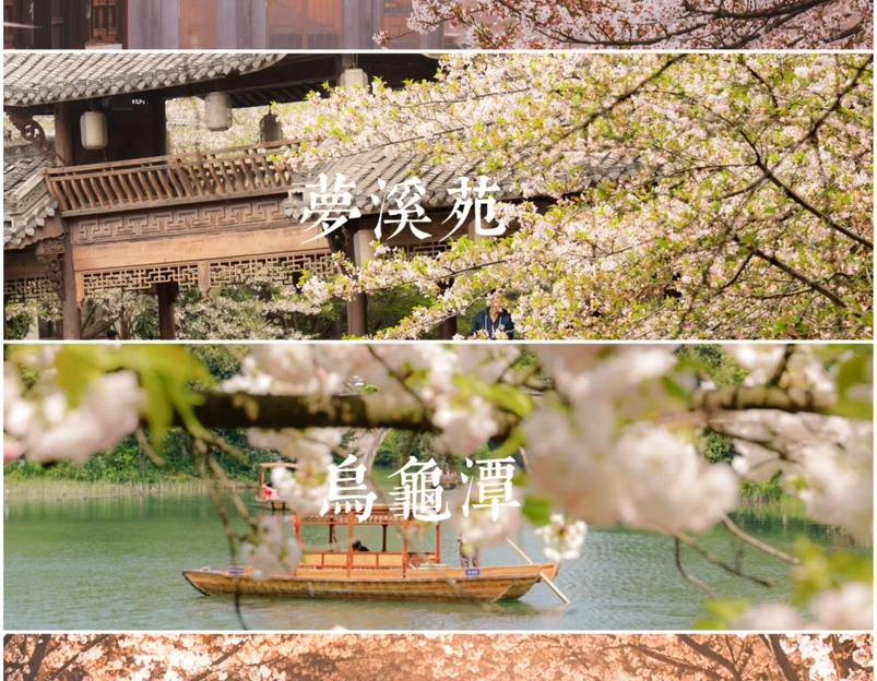 西湖风景区-乌龟潭 - 杭州市旅游 1