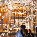 西湖风景区-乌龟潭 - 杭州市旅游 缩略图 5