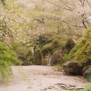 西湖风景区-乌龟潭 - 杭州市旅游 缩略图 2
