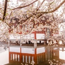西湖风景区-乌龟潭 - 杭州市旅游 缩略图 7