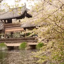 西湖风景区-乌龟潭 - 杭州市旅游 缩略图 3