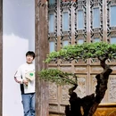 个园 - 扬州市旅游 缩略图 1