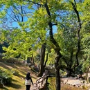 灵光寺 - 梅州市旅游 缩略图 5