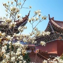 皇罗禅寺 - 苏州市旅游 缩略图 5