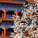 皇罗禅寺 - 苏州市旅游 缩略图 2