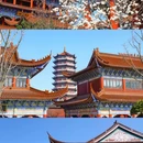 皇罗禅寺 - 苏州市旅游 缩略图 1