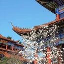 皇罗禅寺 - 苏州市旅游 缩略图 8