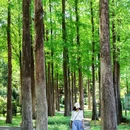 广东树木公园 - 广州市旅游 缩略图 7