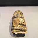 赣州市博物馆(新馆) - 赣州旅游 缩略图 4