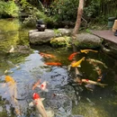 闻风相悦素食餐厅 - 广州市旅游 缩略图 8