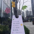 杭州亚奥万象天地 - 杭州旅游 缩略图 2