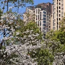 云水涧茶坊 - 重庆市旅游 缩略图 5