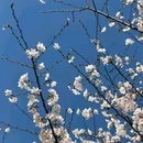 云水涧茶坊 - 重庆市旅游 缩略图 3