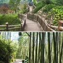 半山云居汤泉度假酒店 - 茂名市旅游 缩略图 4